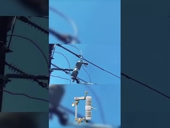 Yüksek kaliteli sigorta kesimi 40.5 kv polimer veya seramik düşüş sigorta kesimi